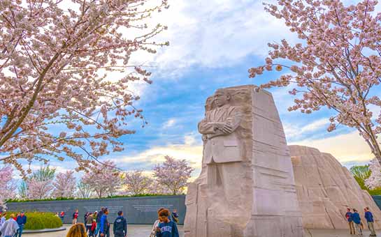 华盛顿特区纪念碑和纪念馆旅游保险
